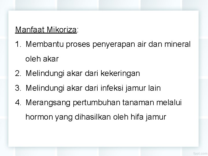 Manfaat Mikoriza: 1. Membantu proses penyerapan air dan mineral oleh akar 2. Melindungi akar