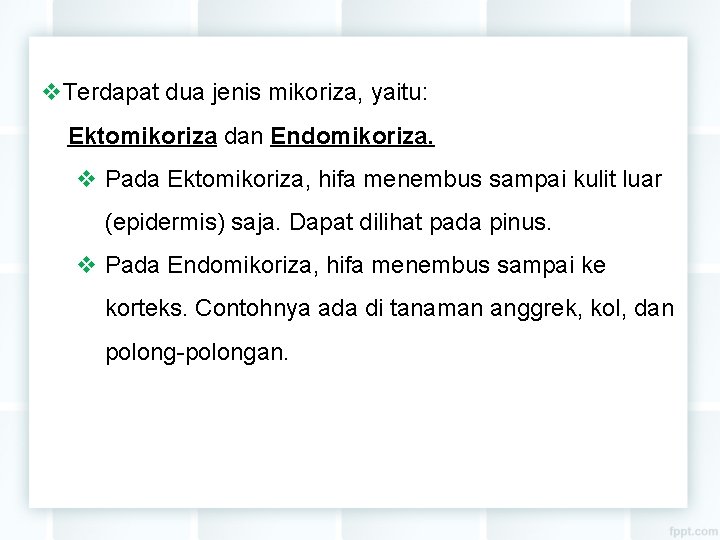 v. Terdapat dua jenis mikoriza, yaitu: Ektomikoriza dan Endomikoriza. v Pada Ektomikoriza, hifa menembus