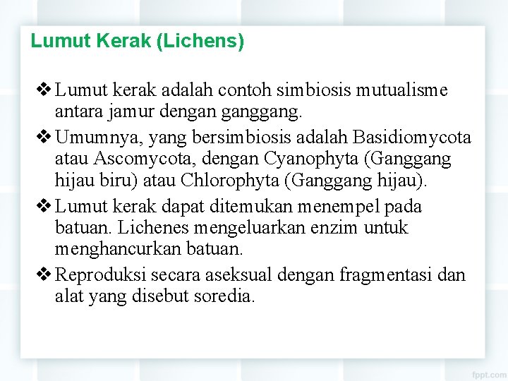 Lumut Kerak (Lichens) v Lumut kerak adalah contoh simbiosis mutualisme antara jamur dengan gang.