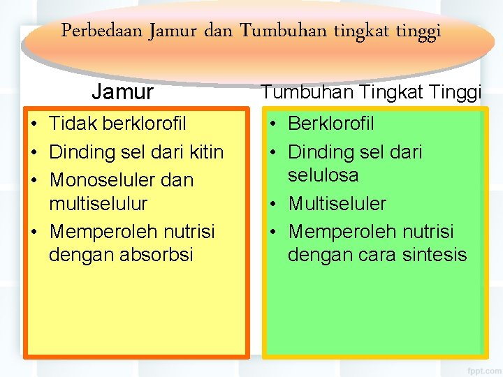 Perbedaan Jamur dan Tumbuhan tingkat tinggi Jamur Tumbuhan Tingkat Tinggi • Tidak berklorofil •