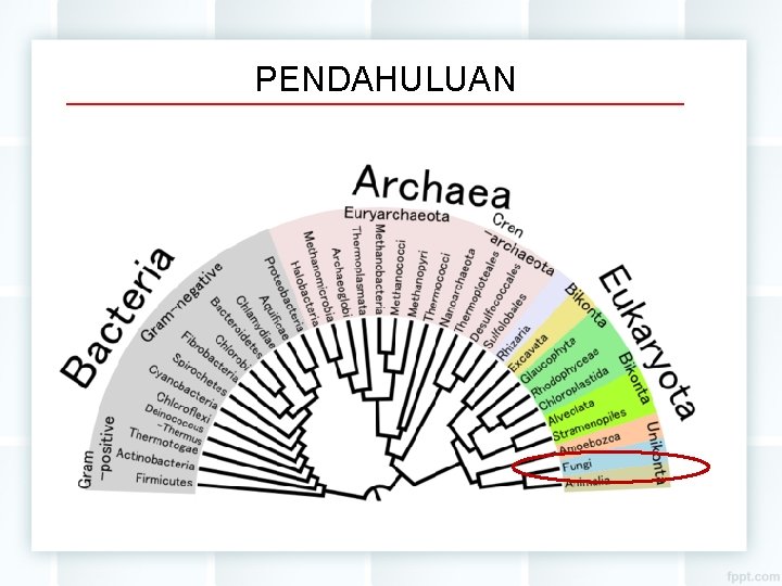 PENDAHULUAN 