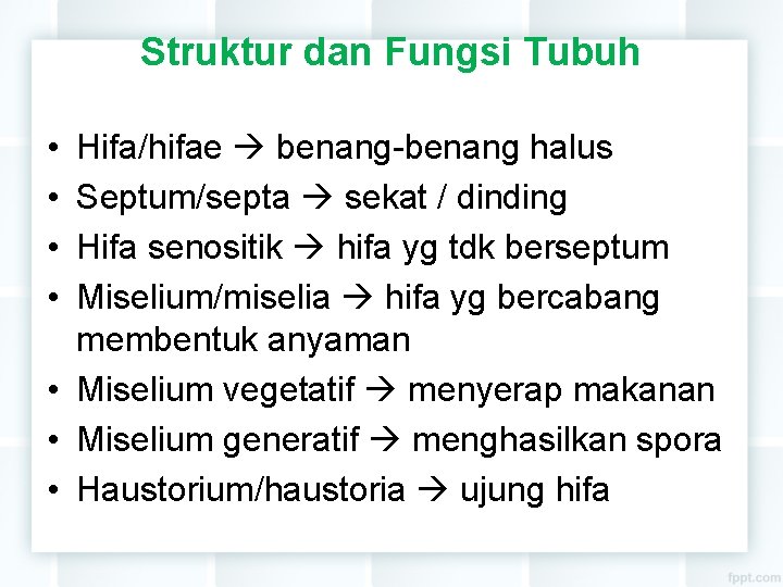 Struktur dan Fungsi Tubuh • • Hifa/hifae benang-benang halus Septum/septa sekat / dinding Hifa