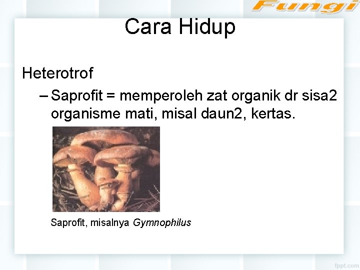 Cara Hidup Heterotrof – Saprofit = memperoleh zat organik dr sisa 2 organisme mati,