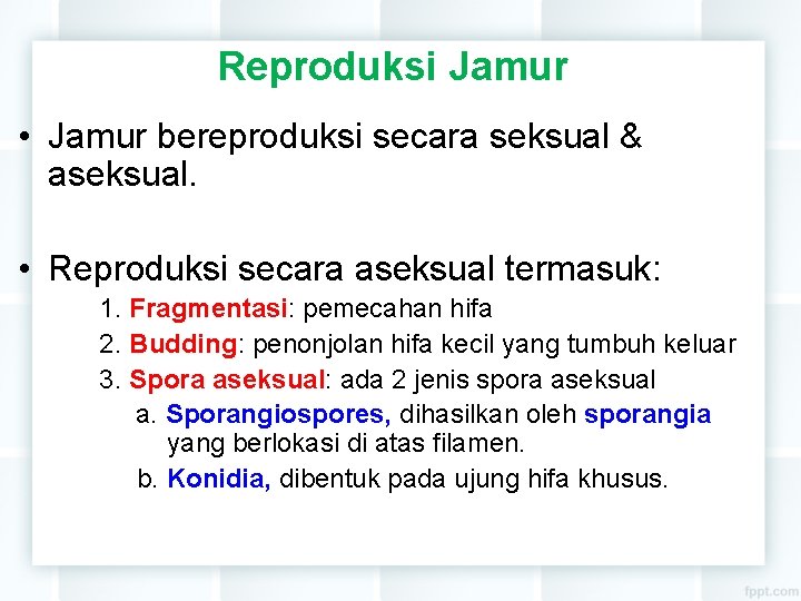 Reproduksi Jamur • Jamur bereproduksi secara seksual & aseksual. • Reproduksi secara aseksual termasuk: