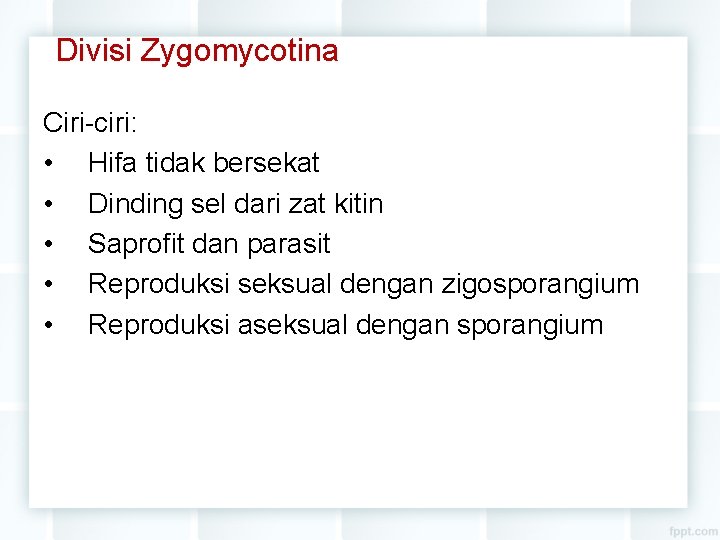 Divisi Zygomycotina Ciri-ciri: • Hifa tidak bersekat • Dinding sel dari zat kitin •