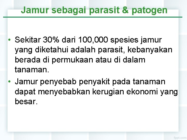 Jamur sebagai parasit & patogen • Sekitar 30% dari 100, 000 spesies jamur yang