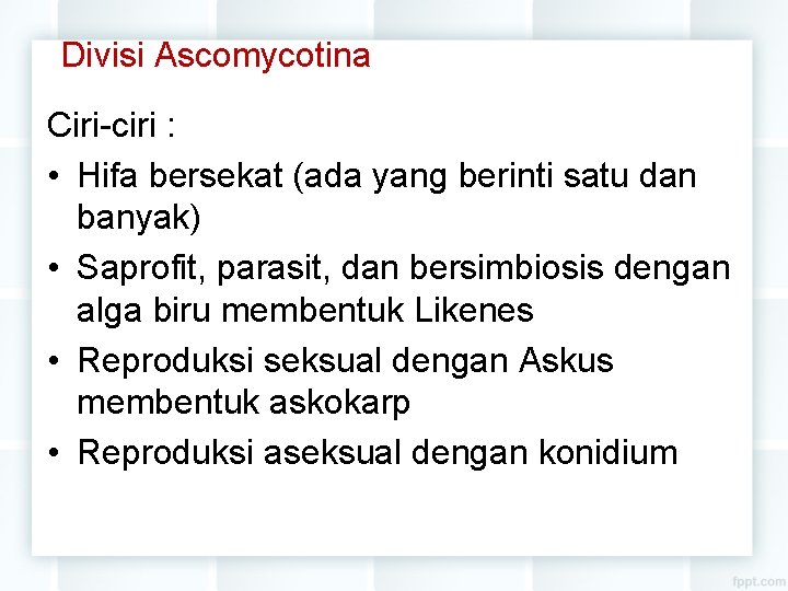 Divisi Ascomycotina Ciri-ciri : • Hifa bersekat (ada yang berinti satu dan banyak) •