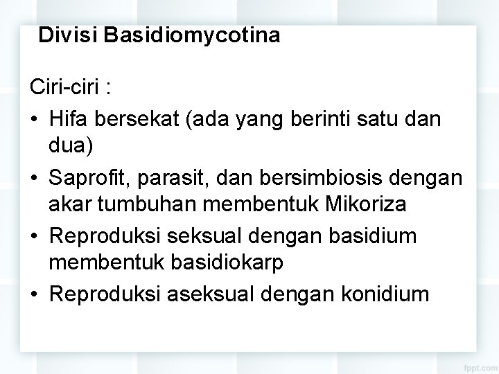 Divisi Basidiomycotina Ciri-ciri : • Hifa bersekat (ada yang berinti satu dan dua) •