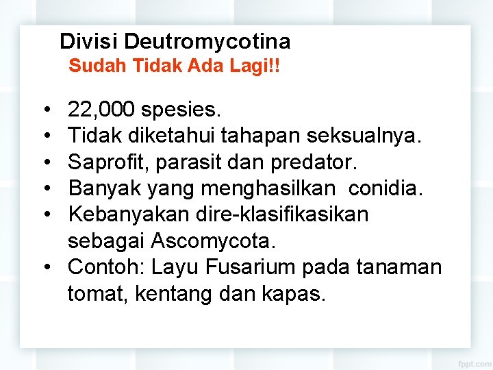 Divisi Deutromycotina Sudah Tidak Ada Lagi!! • • • 22, 000 spesies. Tidak diketahui