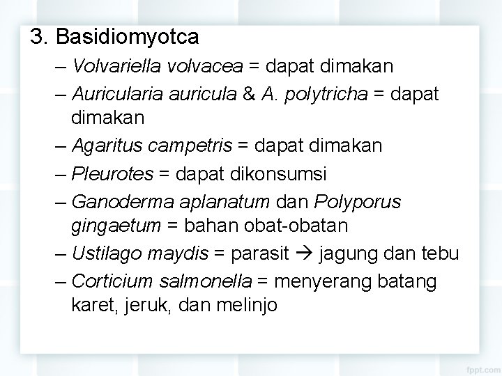 3. Basidiomyotca – Volvariella volvacea = dapat dimakan – Auricularia auricula & A. polytricha