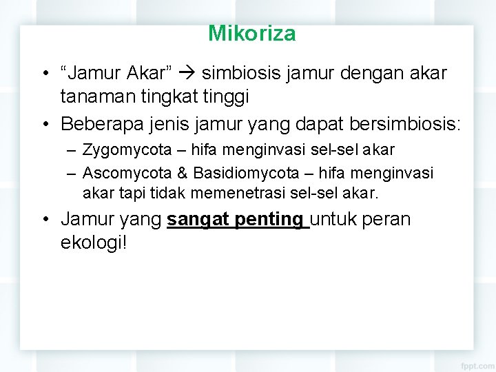 Mikoriza • “Jamur Akar” simbiosis jamur dengan akar tanaman tingkat tinggi • Beberapa jenis