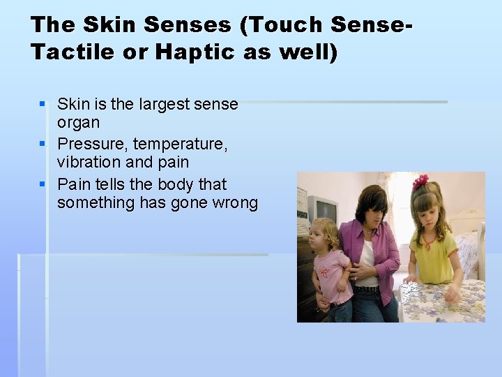 The Skin Senses (Touch Sense. Tactile or Haptic as well) § Skin is the
