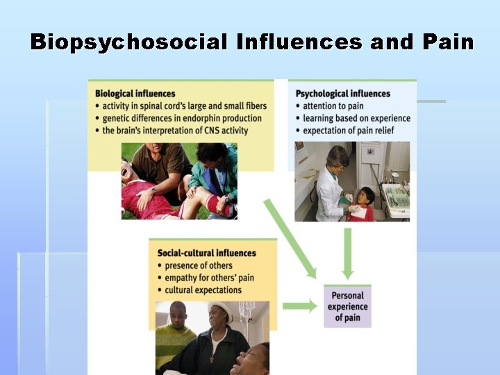 Biopsychosocial Influences and Pain 