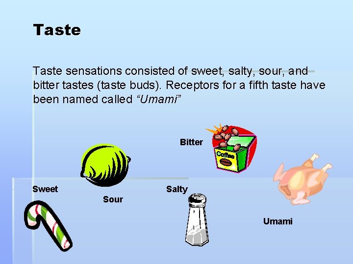 Taste sensations consisted of sweet, salty, sour, and bitter tastes (taste buds). Receptors for