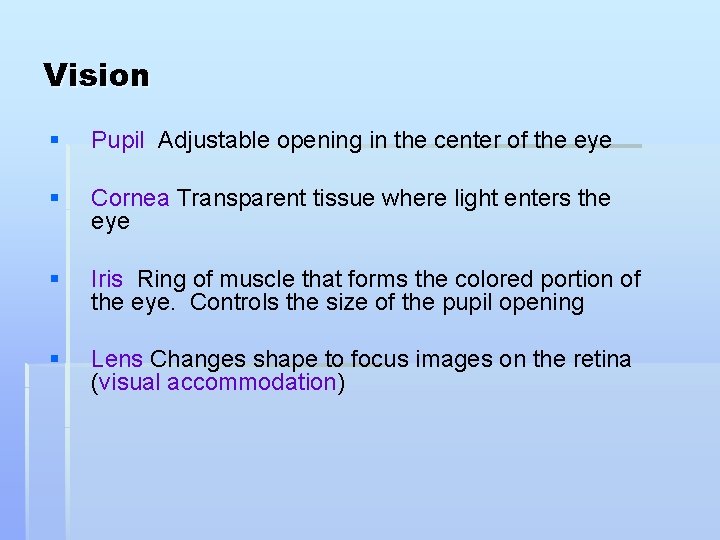 Vision § Pupil Adjustable opening in the center of the eye § Cornea Transparent