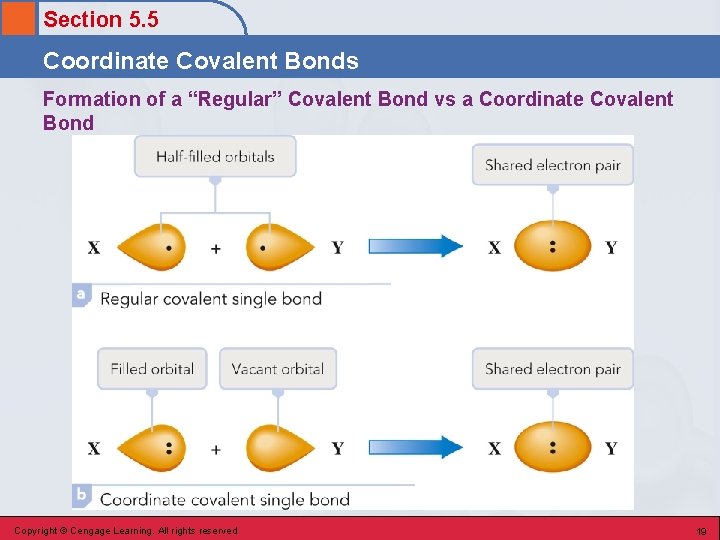 Section 5. 5 Coordinate Covalent Bonds Formation of a “Regular” Covalent Bond vs a