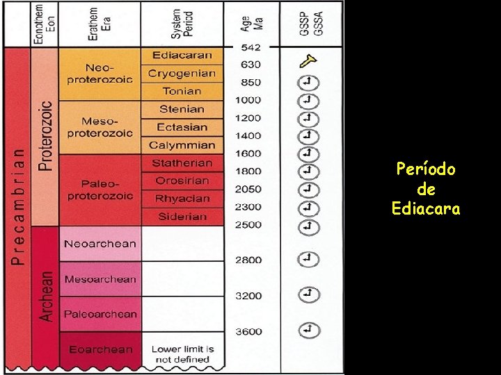 Período de Ediacara 