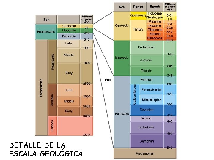 DETALLE DE LA ESCALA GEOLÓGICA 