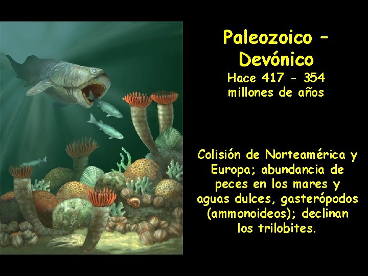 Paleozoico – Devónico Hace 417 - 354 millones de años Colisión de Norteamérica y