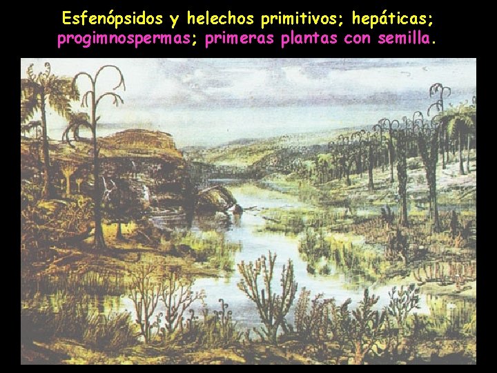 Esfenópsidos y helechos primitivos; hepáticas; progimnospermas; primeras plantas con semilla. 