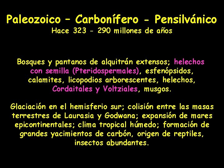 Paleozoico – Carbonífero - Pensilvánico Hace 323 - 290 millones de años Bosques y