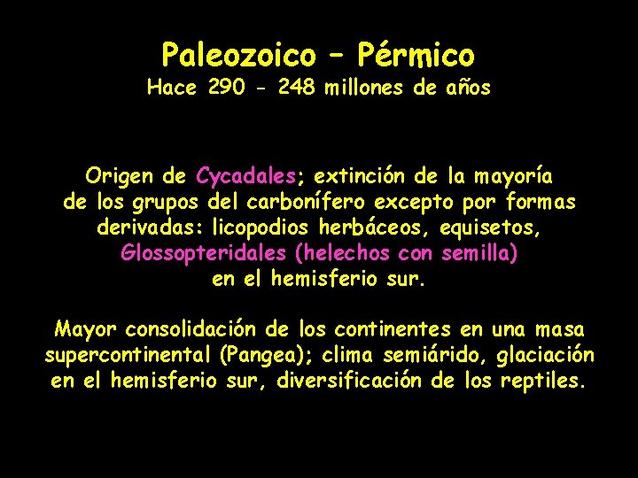 Paleozoico – Pérmico Hace 290 - 248 millones de años Origen de Cycadales; extinción