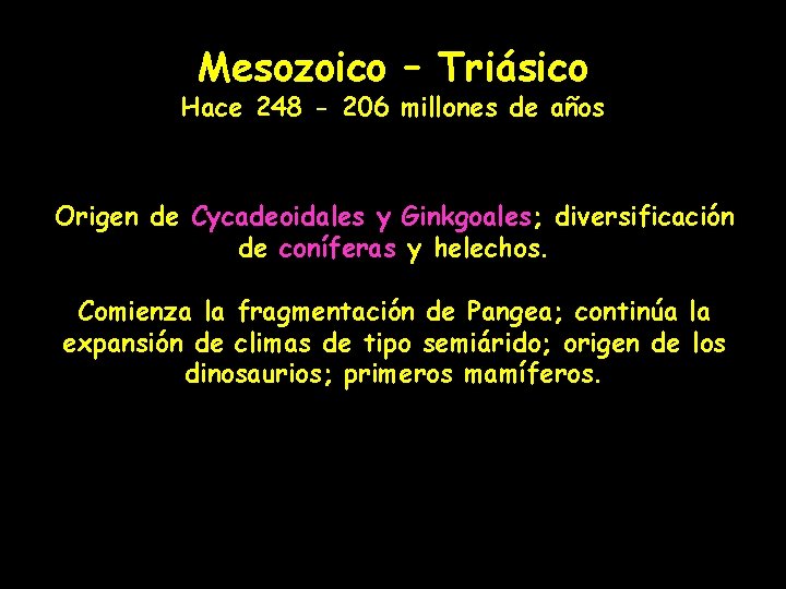 Mesozoico – Triásico Hace 248 - 206 millones de años Origen de Cycadeoidales y