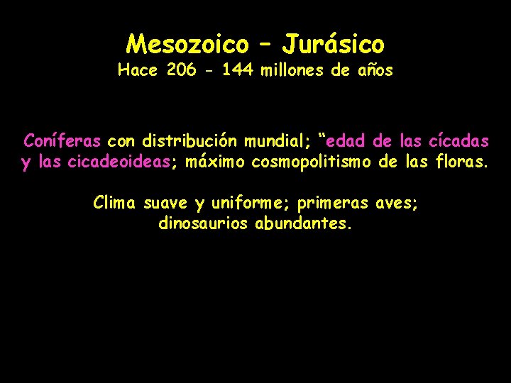 Mesozoico – Jurásico Hace 206 - 144 millones de años Coníferas con distribución mundial;