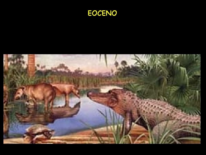 EOCENO 