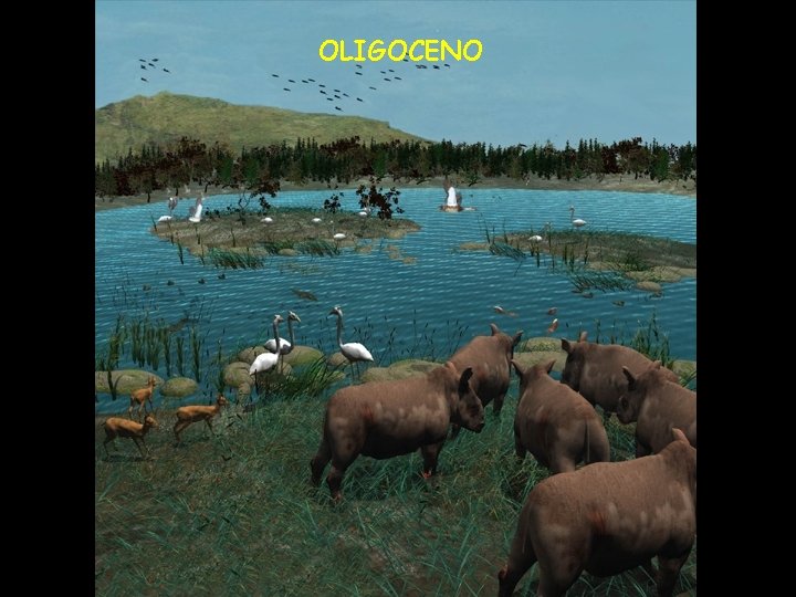 OLIGOCENO 