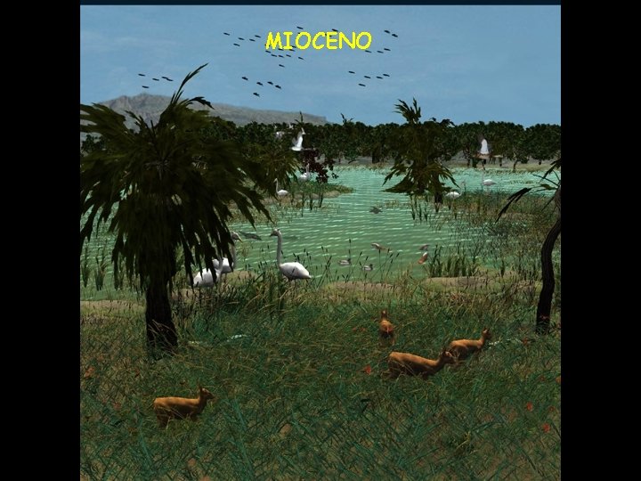 MIOCENO 