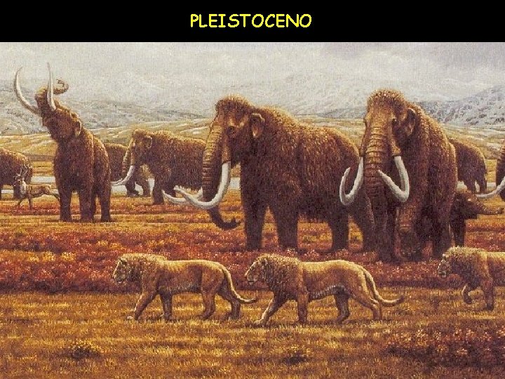 PLEISTOCENO 