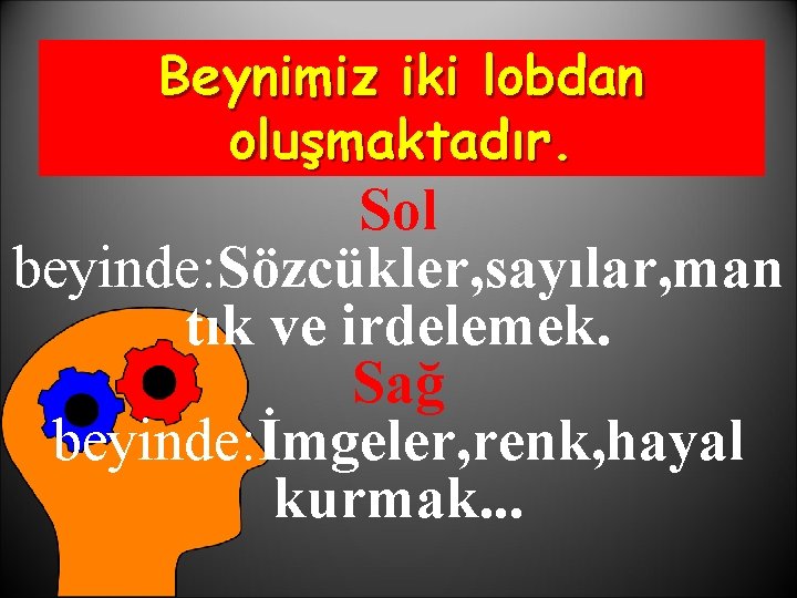 Beynimiz iki lobdan oluşmaktadır. Sol beyinde: Sözcükler, sayılar, man tık ve irdelemek. Sağ beyinde: