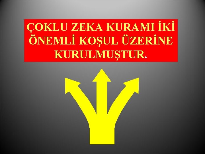 ÇOKLU ZEKA KURAMI İKİ ÖNEMLİ KOŞUL ÜZERİNE KURULMUŞTUR. 