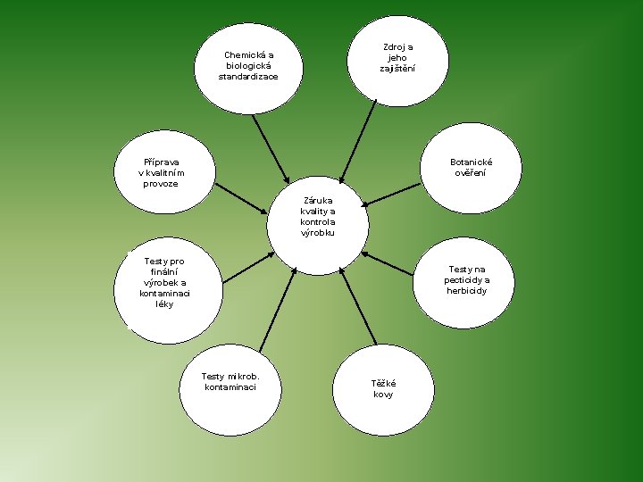 Zdroj a jeho zajištění Chemická a biologická standardizace Příprava v kvalitním provoze Botanické ověření