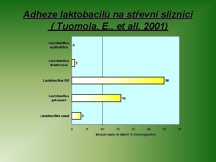 Adheze laktobacilů na střevní sliznici ( Tuomola, E. , et all, 2001) 
