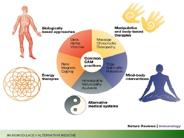 IMUNOMODULACE V ALTERNATIVNÍ MEDICÍNĚ 