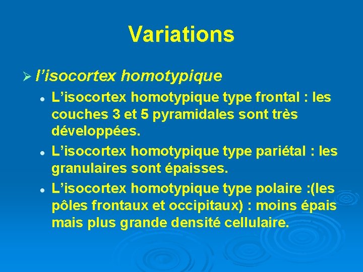 Variations Ø l’isocortex homotypique l l l L’isocortex homotypique type frontal : les couches