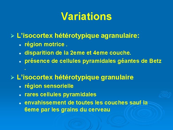 Variations Ø L’isocortex hétérotypique agranulaire: l l l Ø région motrice. disparition de la