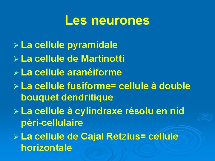 Les neurones Ø La cellule pyramidale Ø La cellule de Martinotti Ø La cellule