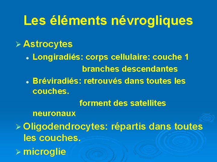Les éléments névrogliques Ø Astrocytes Longiradiés: corps cellulaire: couche 1 branches descendantes l Bréviradiés: