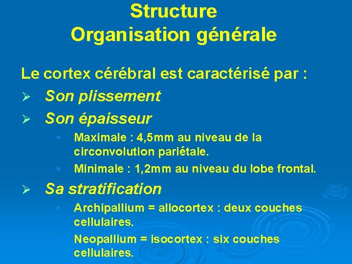 Structure Organisation générale Le cortex cérébral est caractérisé par : Ø Son plissement Ø