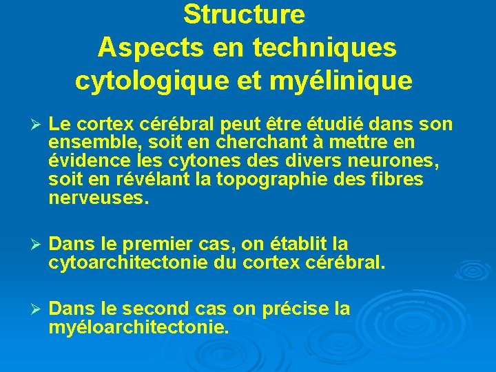 Structure Aspects en techniques cytologique et myélinique Ø Le cortex cérébral peut être étudié