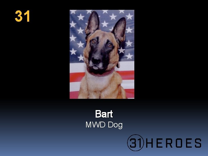 31 Bart MWD Dog 