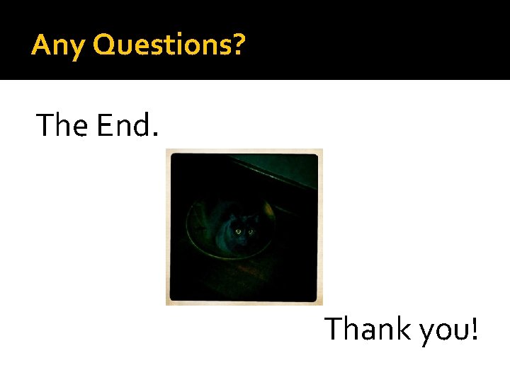 Any Questions? The End. Thank you! 