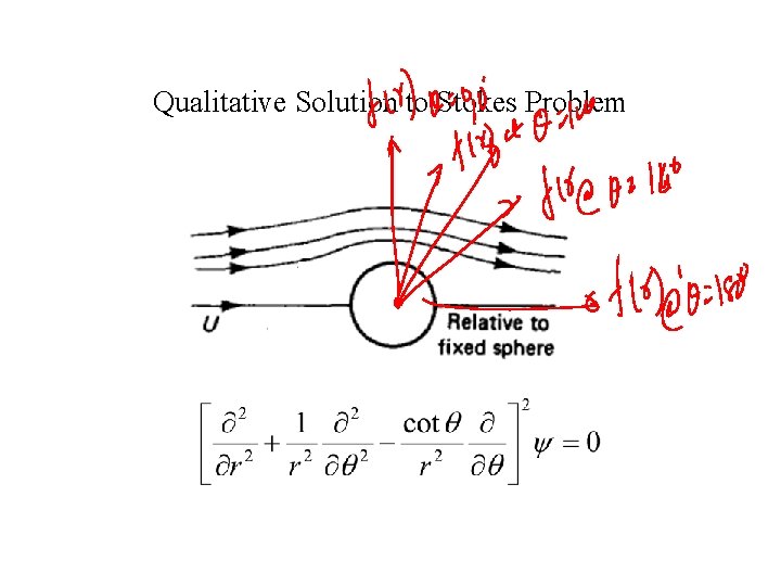 Qualitative Solution to Stokes Problem 