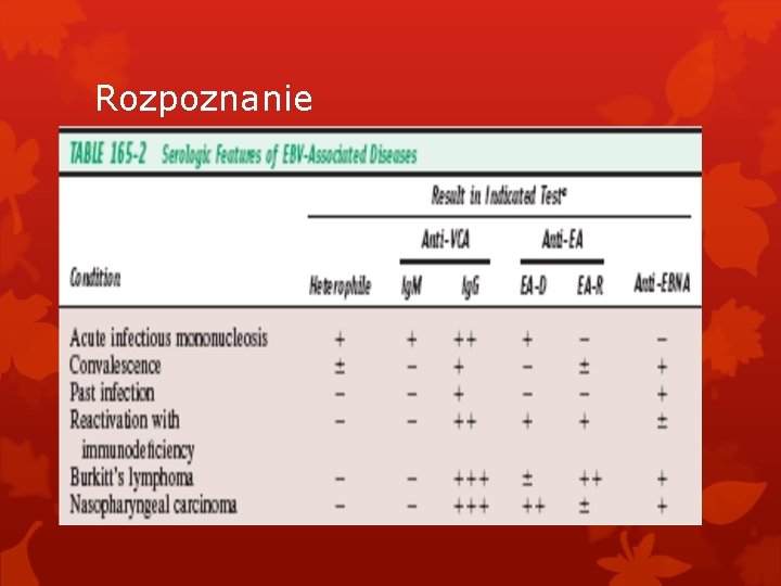 Rozpoznanie 