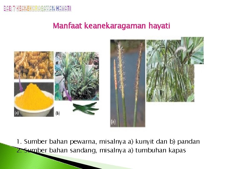 Manfaat keanekaragaman hayati 1. Sumber bahan pewarna, misalnya a) kunyit dan b) pandan 2.