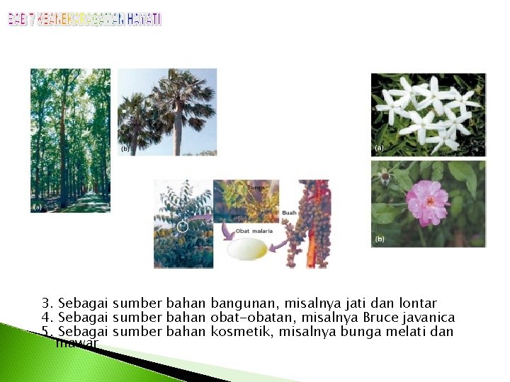 3. Sebagai sumber bahan bangunan, misalnya jati dan lontar 4. Sebagai sumber bahan obat-obatan,