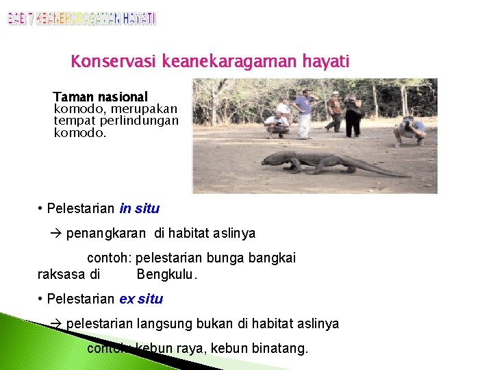 Konservasi keanekaragaman hayati Taman nasional komodo, merupakan tempat perlindungan komodo. • Pelestarian in situ